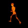 walking  skeleton by X-rays in red