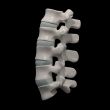 spinal disc