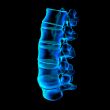 3d rendered illustration-lumbar side view