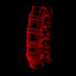 3d rendered illustration-lumbar side view