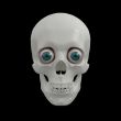 3d render human Skull