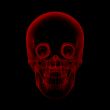 human x ray skull on black background