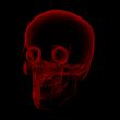 human x ray skull on black background