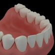 3D teeth on black background