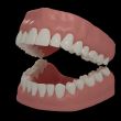 3D teeth on black background