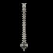 human spine