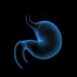 3d rendered illustration of the stomach