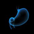 3d rendered illustration of the stomach