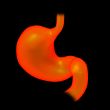 3d rendered illustration of the stomach