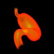 3d rendered illustration of the stomach