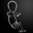 Human fetus