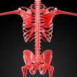 3d rendered red skeleton