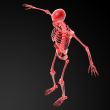 3d rendered red skeleton