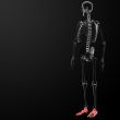 3d render human foot x-ray
