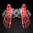 3d render human foot x-ray