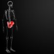 3d render pelvis under the X-rays 