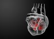 3d render Heart atrium