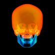 human Skull. Upper half. with black background