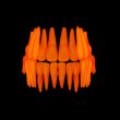 3d human orange teeth 