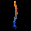 3d render painful spine