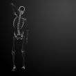 3d render Skeleton X-rays - back view