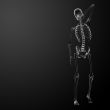 3d render Skeleton X-rays 