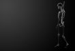 3d render Skeleton X-rays