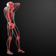 3d rendered red skeleton