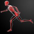 running skeleton by X-rays in red 