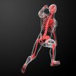 Running human anatomy by X-rays in red 