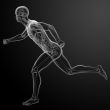 Running human anatomy by X-rays