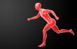 Running human anatomy by X-rays in red 