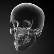 3d render skull on black background 