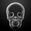 3d render skull on black background