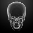 3d render skull on black background 