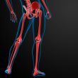 3d rendered red skeleton