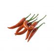 Red chili peppers isolated on white background