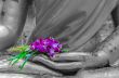 Orchid in hand image of buddha