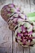 fresh artichokes