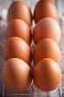 fresh eggs 