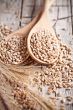 wheat grain in wooden spoons