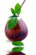 Isolated Leather Mate Cup with Straw and yerba green leafs