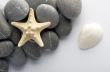 Natural spa elements- seashell with starshell and stones on whit