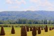Farmland