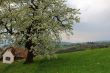 Austria Landscape