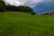 landscape of valley