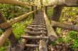 Barenschutzklamm