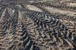 Wheel tracks on the ground