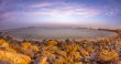 Shores of Dakar
