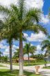 Sunny Florida